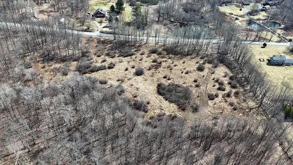 a view of a dry yard with trees and wooden fence