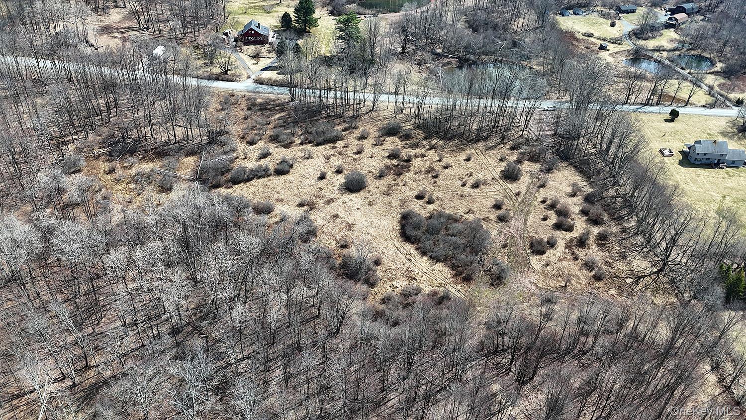 0 Menges Road Livingston Manor, NY 12791 - Photo 21 of 35