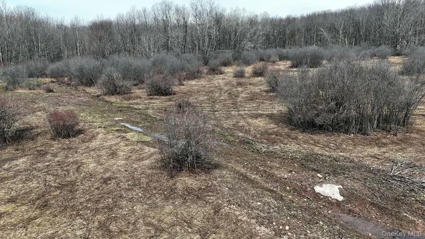 a view of a backyard of the house
