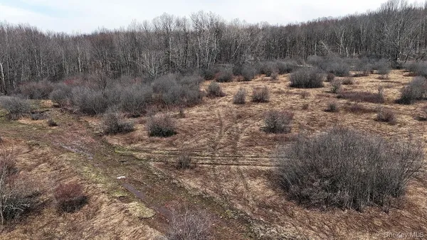 a view of a bunch of trees in a field
