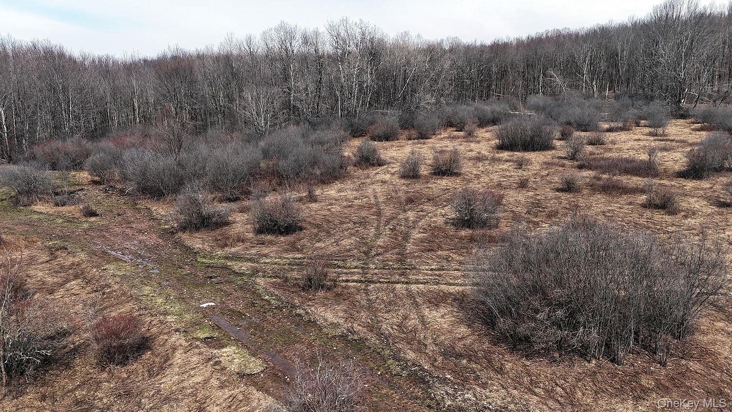 0 Menges Road Livingston Manor, NY 12791 - Photo 25 of 35