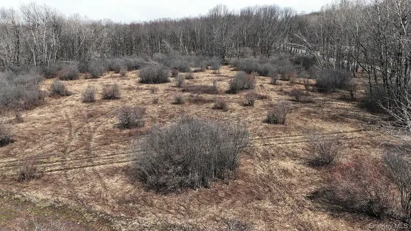 a view of a dry yard with trees