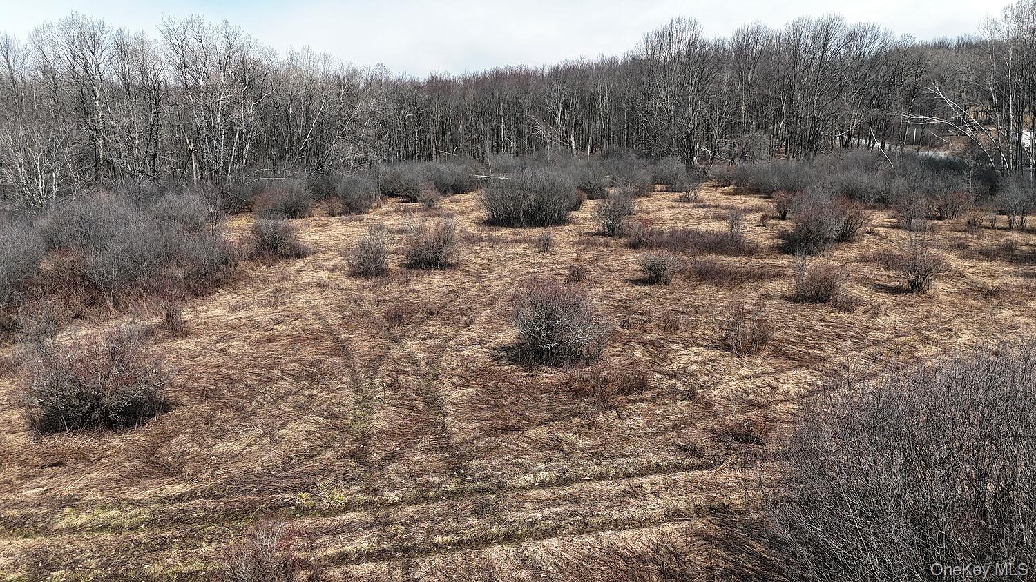 0 Menges Road Livingston Manor, NY 12791 - Photo 28 of 35