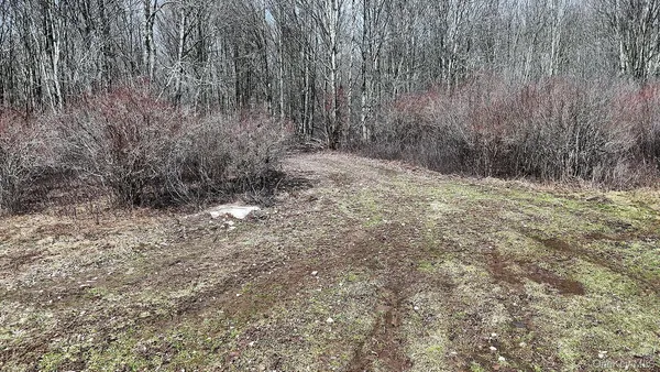 a view of a yard with wooden fence