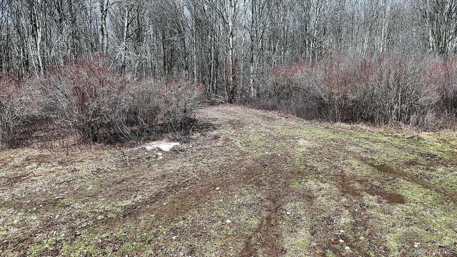 0 Menges Road Livingston Manor, NY 12791 - Photo 29 of 35