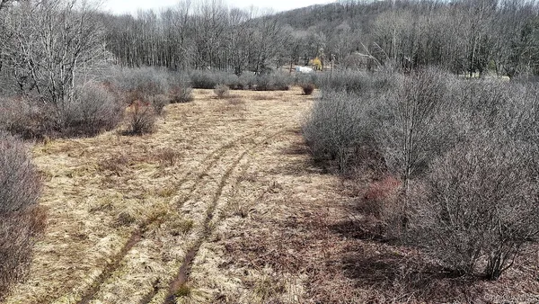 a view of dirt yard with a large tree