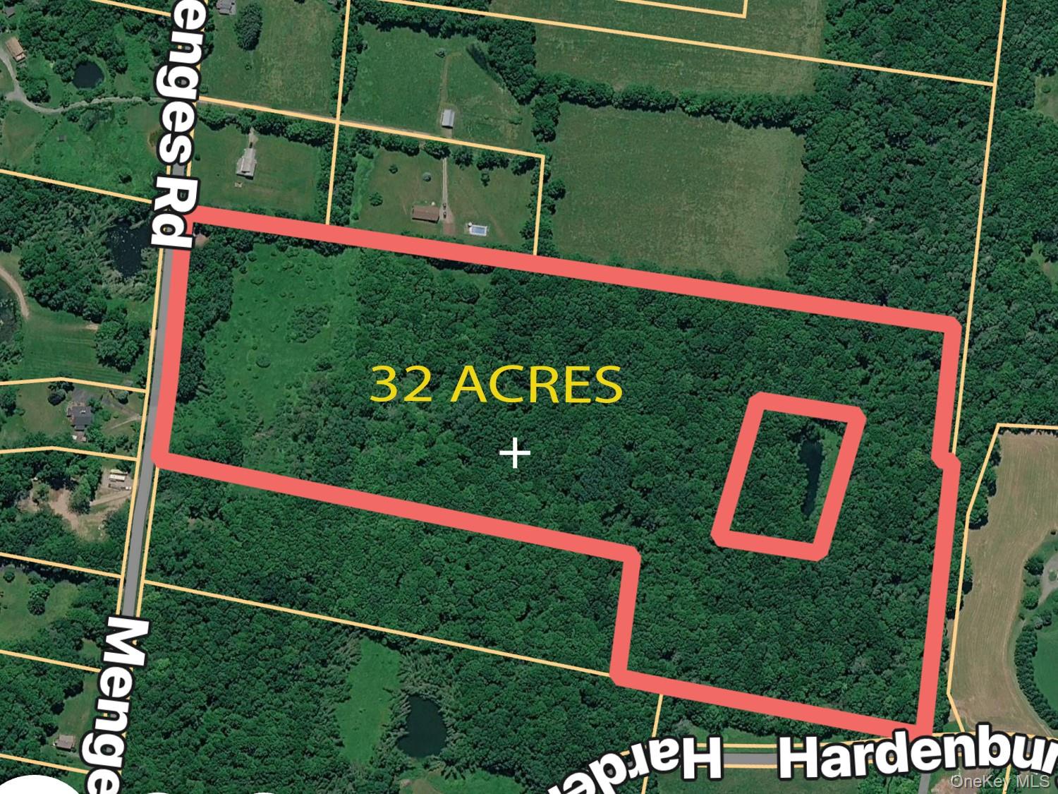 0 Menges Road Livingston Manor, NY 12791 - Photo 3 of 35