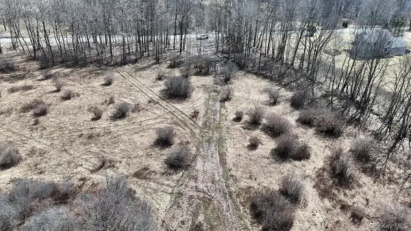 a view of dirt field with trees
