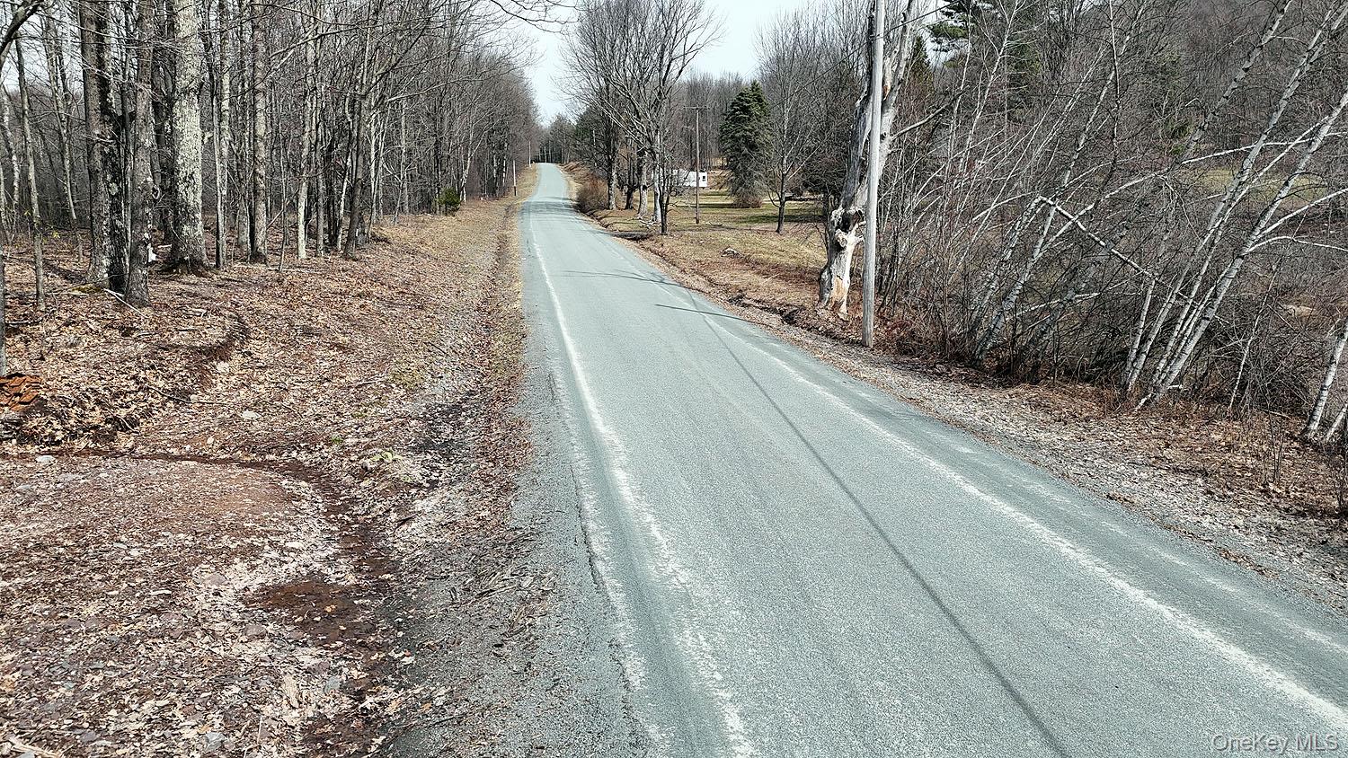 0 Menges Road Livingston Manor, NY 12791 - Photo 32 of 35