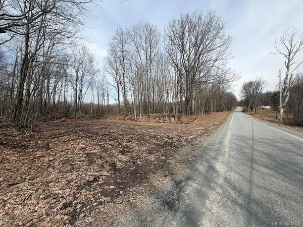 $299,000 | 0 Menges Road, Livingston Manor, NY 12791