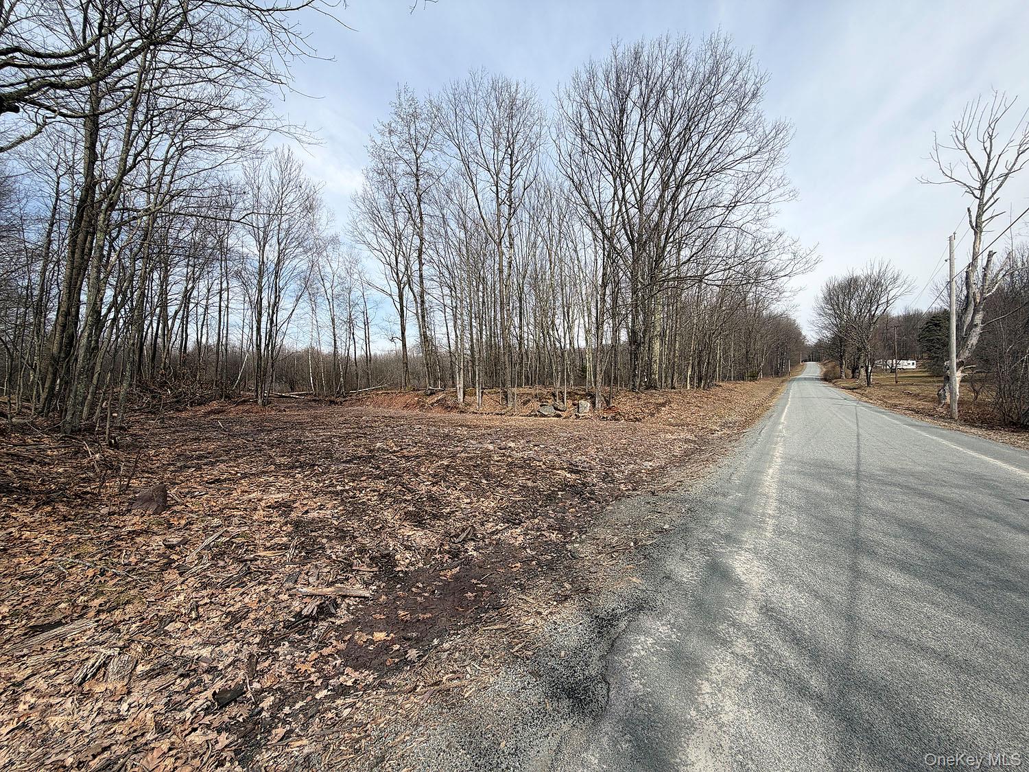 0 Menges Road Livingston Manor, NY 12791 - Photo 33 of 35