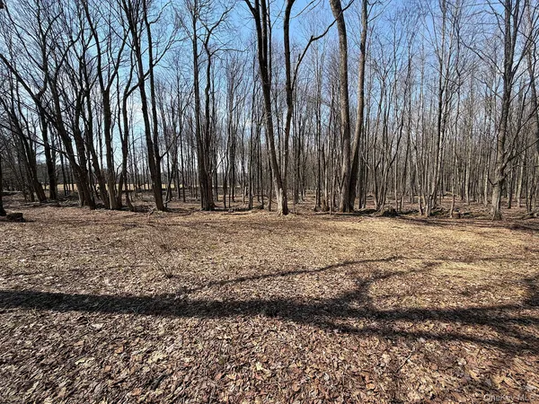 $299,000 | 0 Menges Road, Livingston Manor, NY 12791