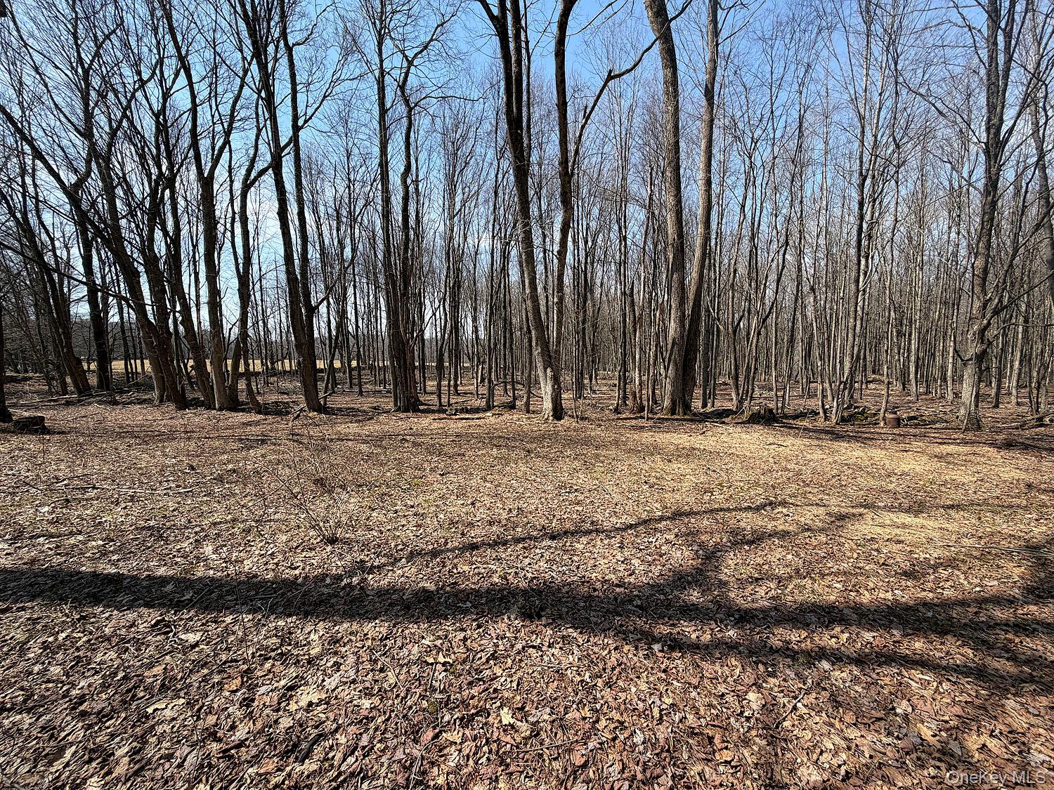 0 Menges Road Livingston Manor, NY 12791 - Photo 34 of 35