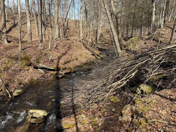 $299,000 | 0 Menges Road, Livingston Manor, NY 12791