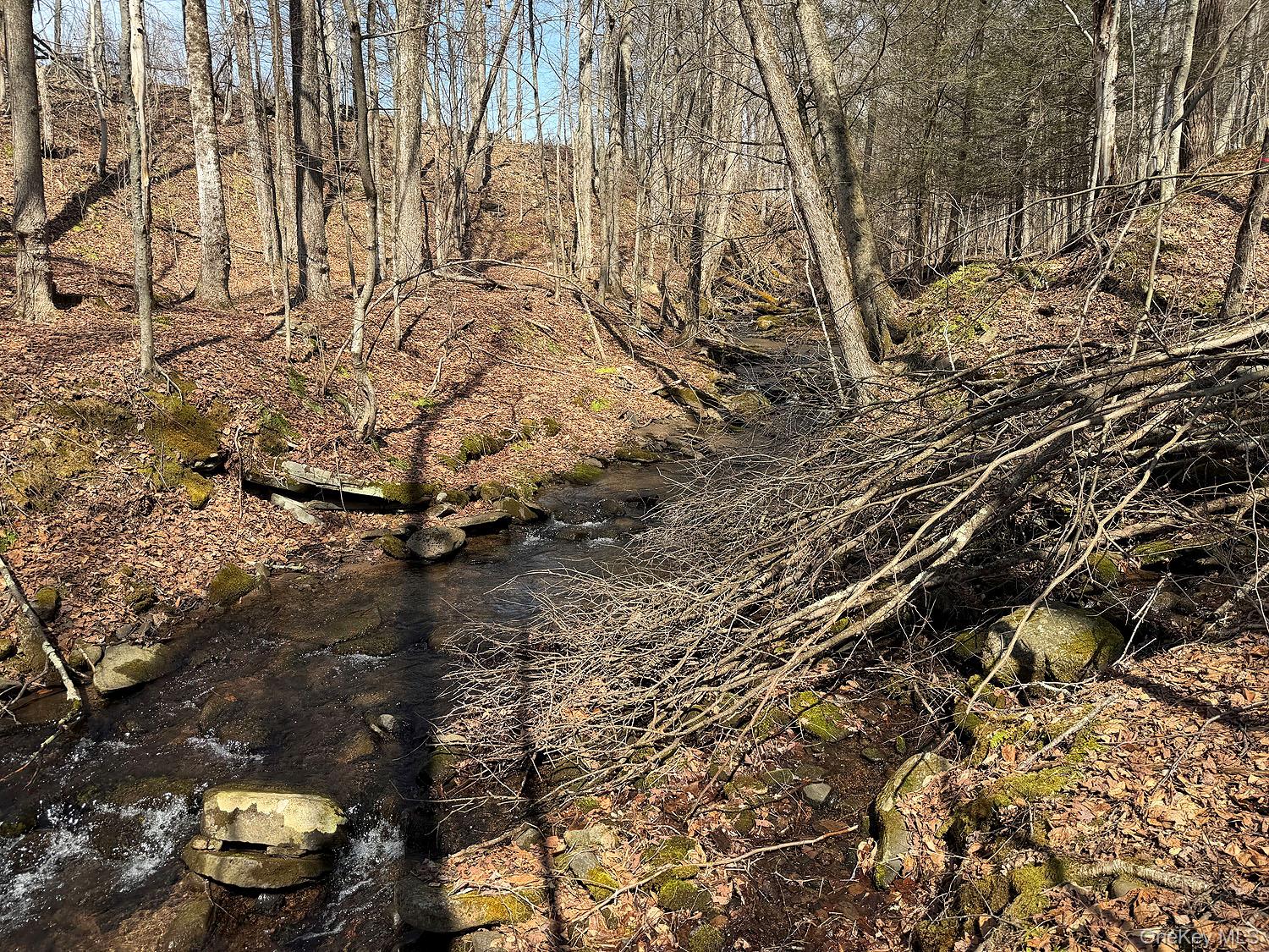 0 Menges Road Livingston Manor, NY 12791 - Photo 35 of 35