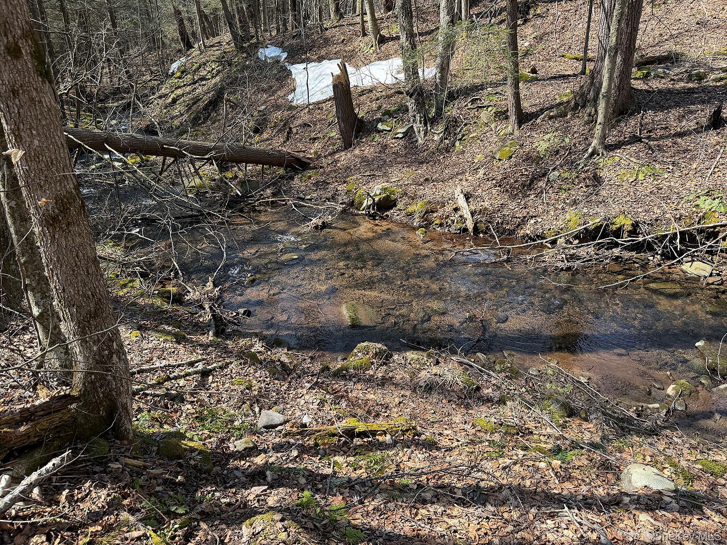 0 Menges Road Livingston Manor, NY 12791 - Photo 4 of 35