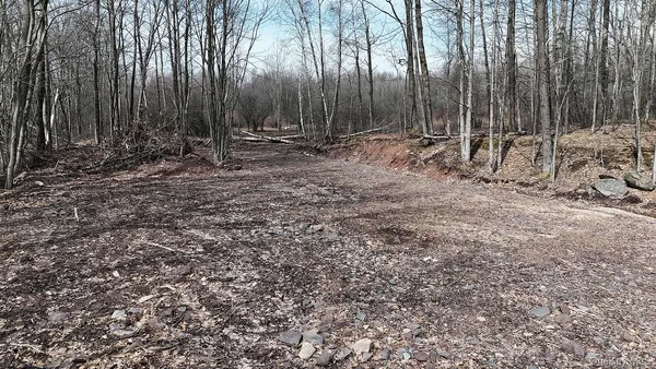 a view of a dry yard with green space
