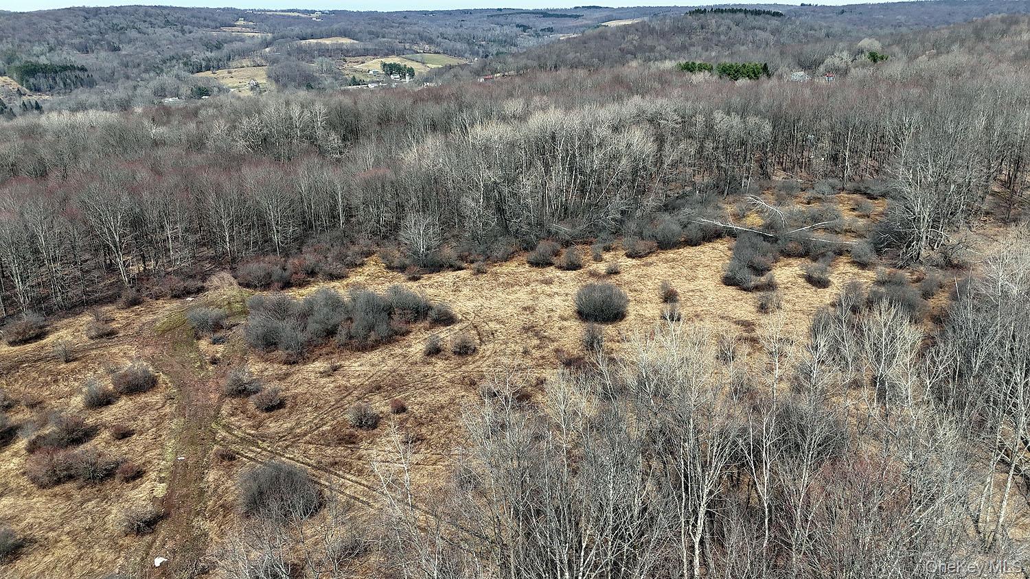 0 Menges Road Livingston Manor, NY 12791 - Photo 8 of 35