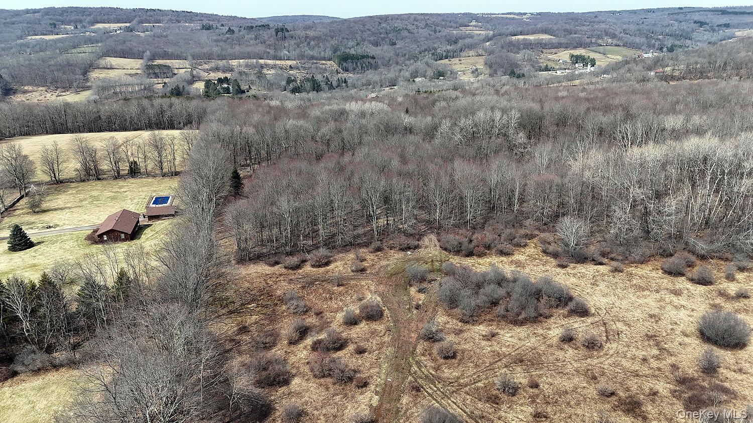 0 Menges Road Livingston Manor, NY 12791 - Photo 9 of 35