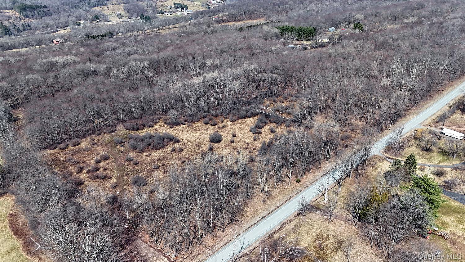 0 Menges Road Livingston Manor, NY 12791 - Photo 10 of 35