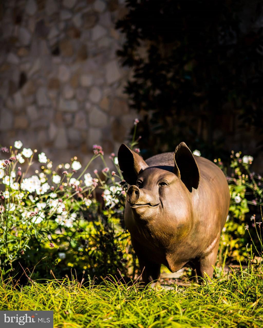 126 Center Mill Road Chadds Ford, PA 19317 - Photo 22 of 37