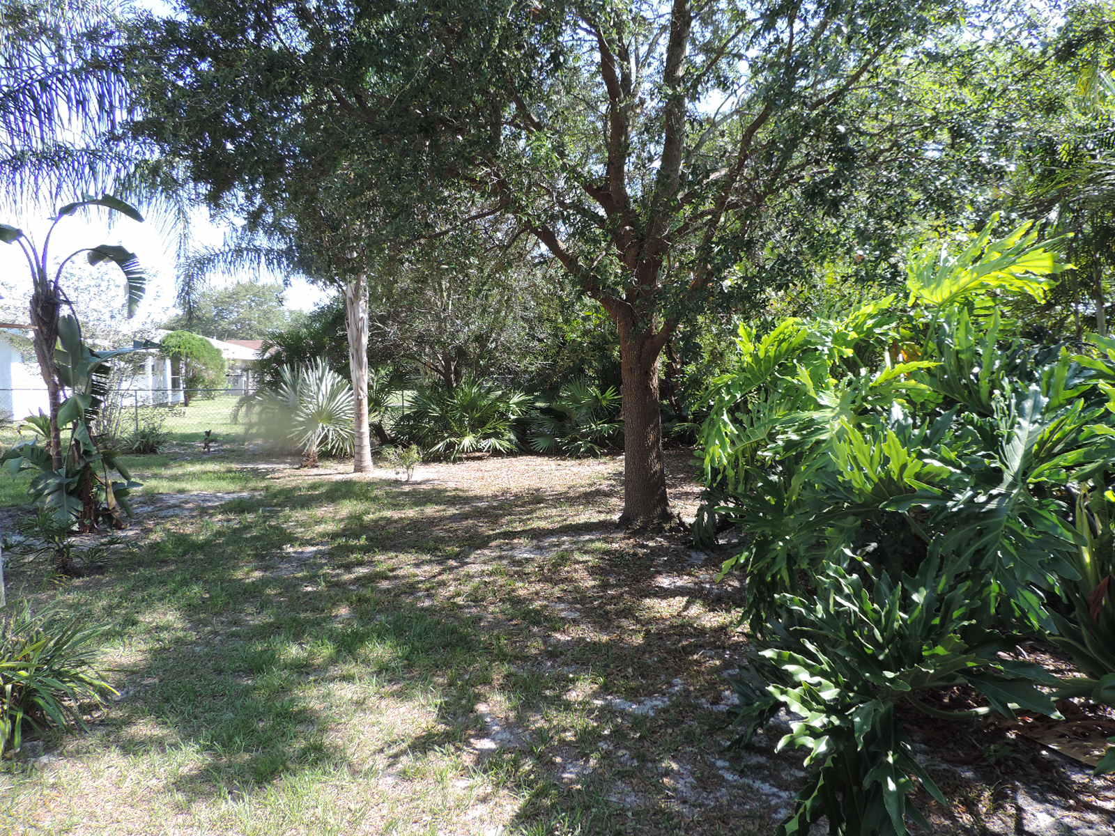 273 Southwest Kentwood Road Port St. Lucie, FL 34953 - Photo 15 of 25 Many trees