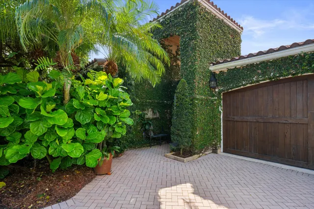 a view of a backyard