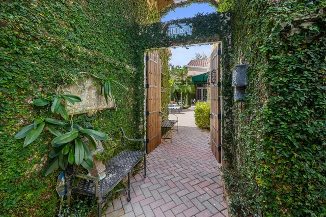 a view of a pathway of a garden