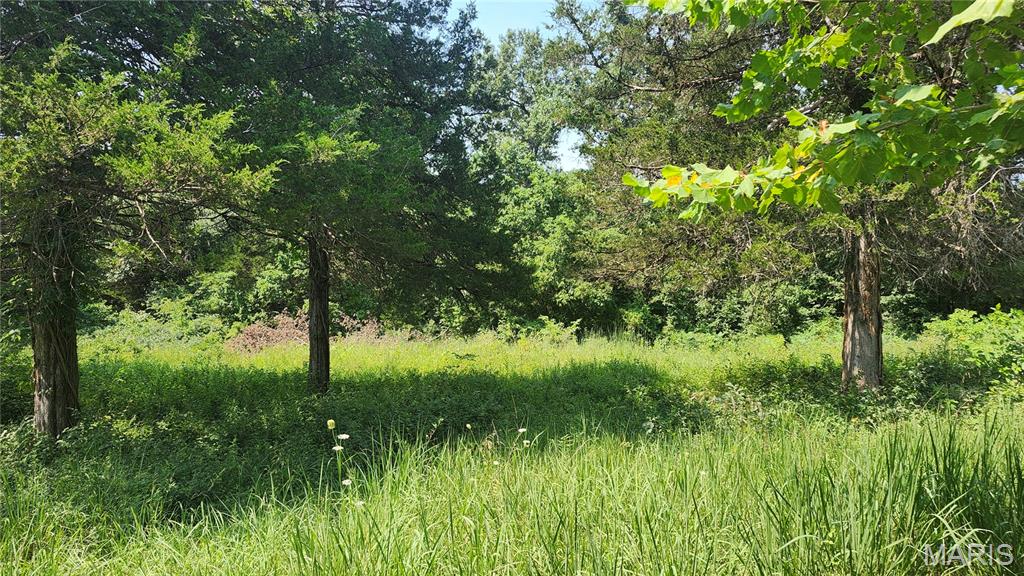 3047 Dorman Road Festus, MO 63028 - Photo 5 of 6 Gallery Image 5