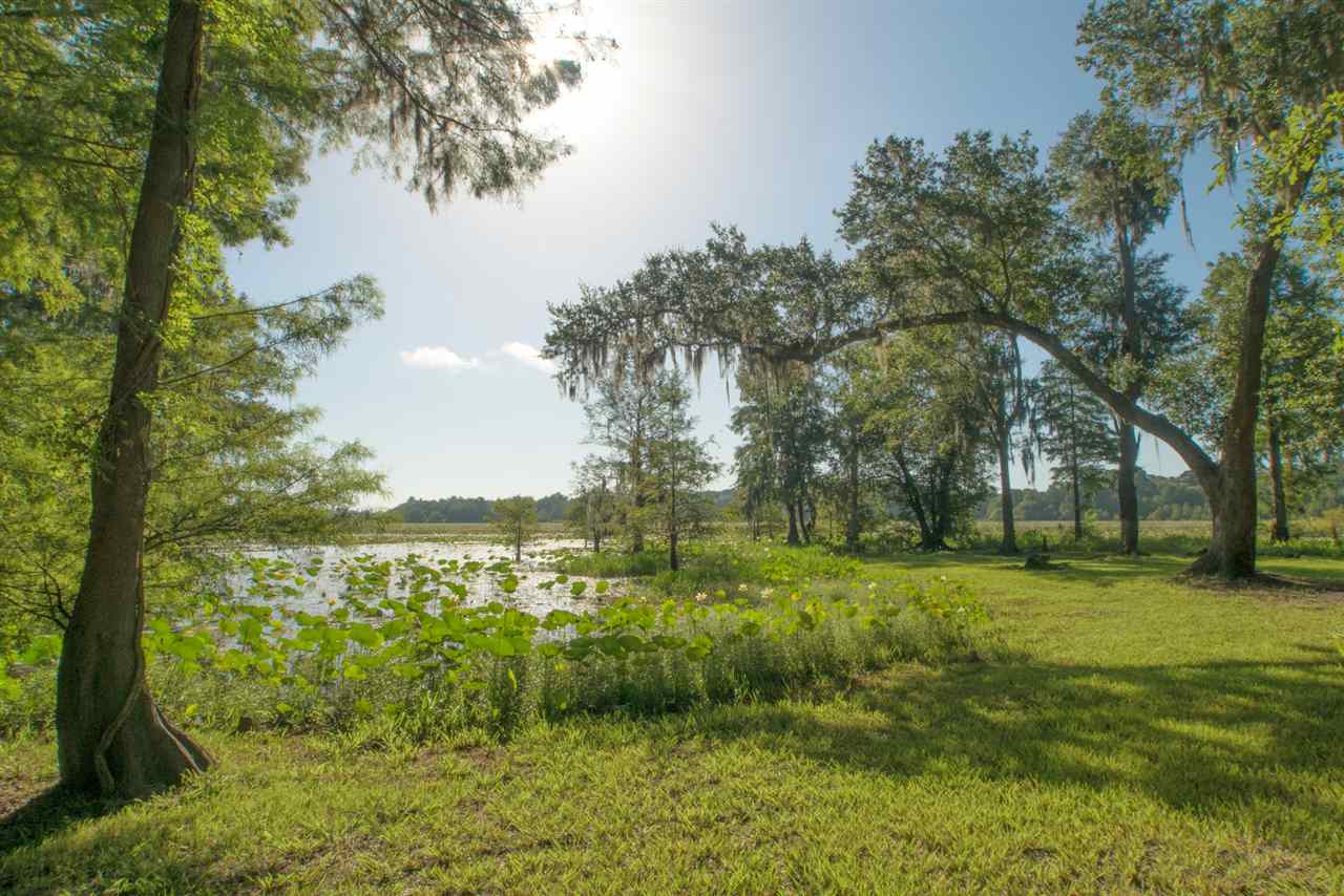 10961 Luna Point Road Tallahassee, FL 32312 - Photo 14 of 36 Gallery Image 14