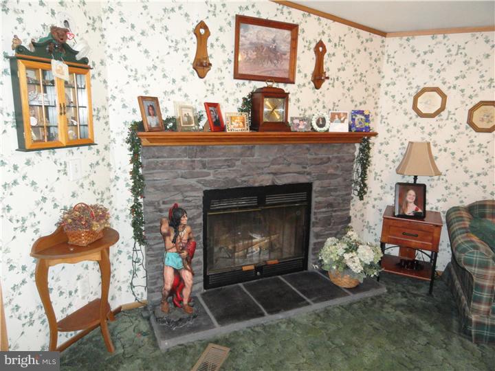 2894 Fords Corner Road Hartly, DE 19953 - Photo 14 of 16 Fireplace