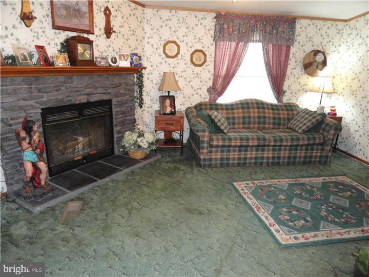 2894 Fords Corner Road Hartly, DE 19953 - Photo 5 of 16 Fireplace