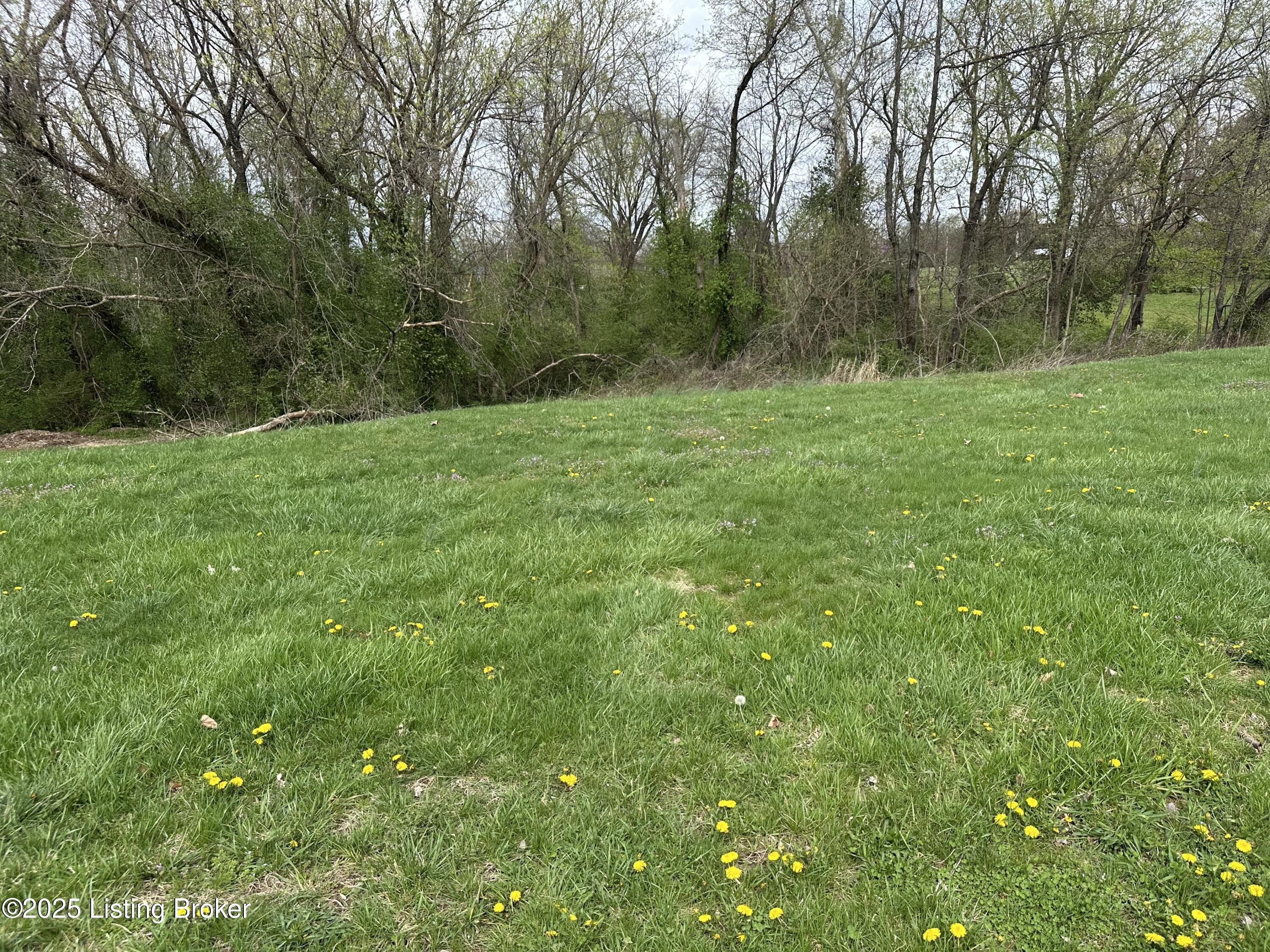Photo of lot