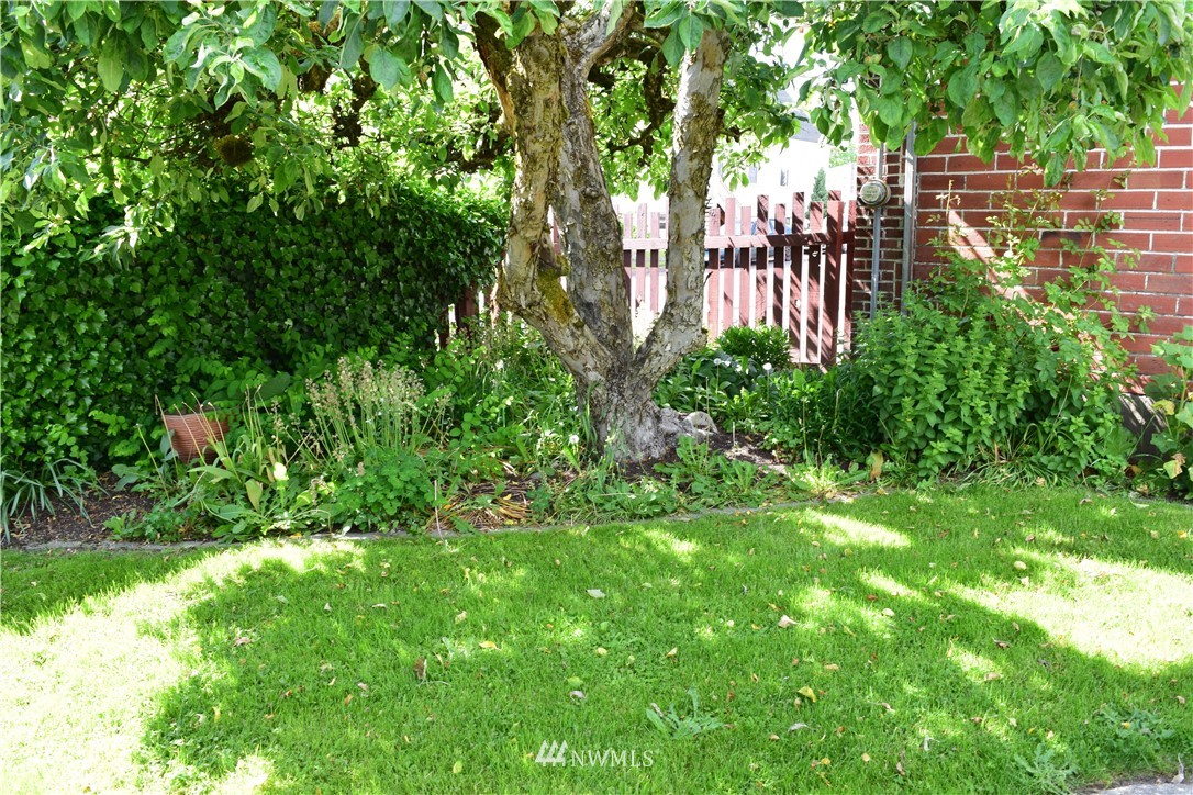 124 Southwest Alfred Street Chehalis, WA 98532 - Photo 11 of 21 Gallery Image 11