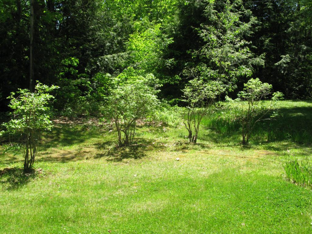 1757 Brook Road Goshen, NH 03752 - Photo 3 of 8