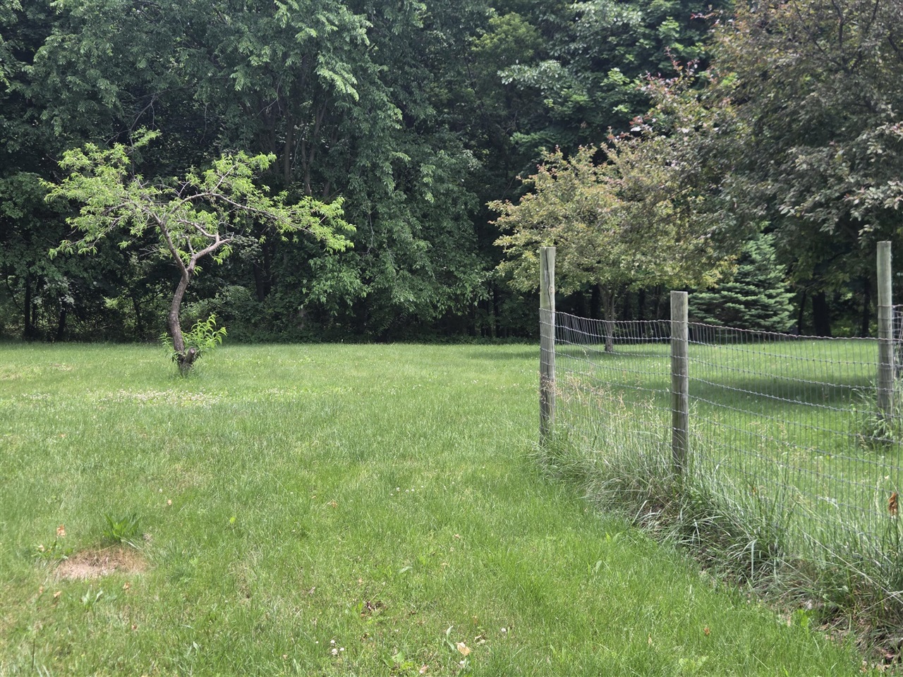 9130 17 Mile Road Marshall, MI 49068 - Photo 15 of 19
