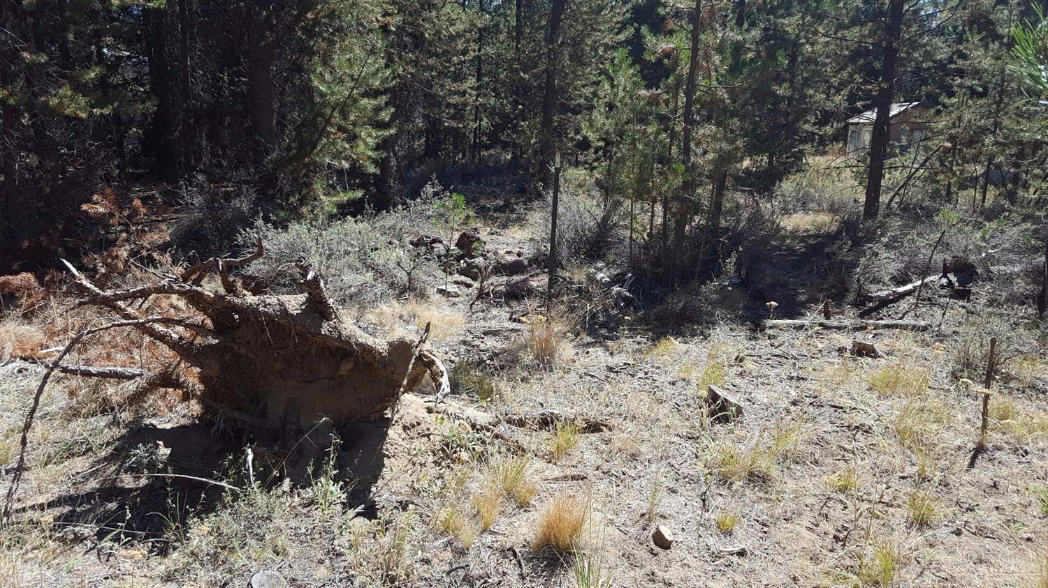 15933 Burgess Road La Pine, OR 97739 - Photo 11 of 13 Back marker