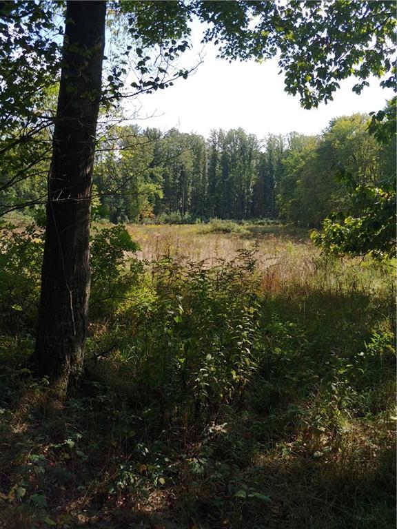 0 Cribbs Rd Extension Mercer, PA 16137 - Photo 3 of 3