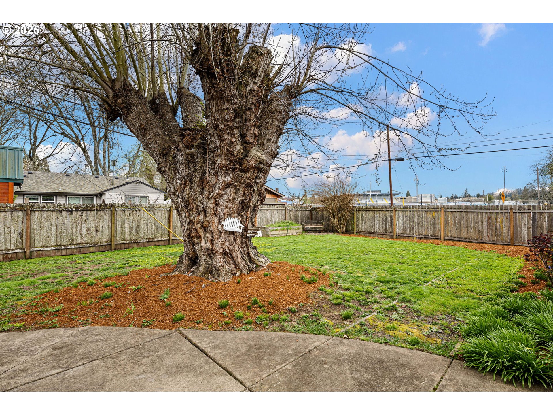 1213 Modoc Street Springfield, OR 97477 - Photo 27 of 40