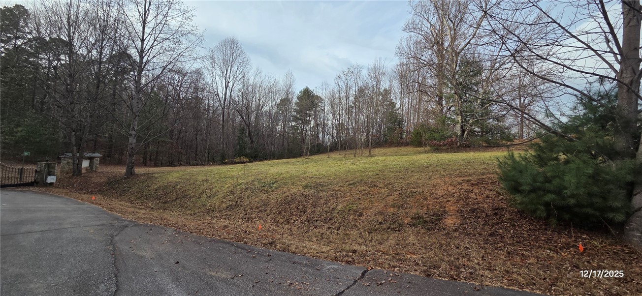1 Lenore B Lane Mountain Rest, SC 29664 - Photo 20 of 30