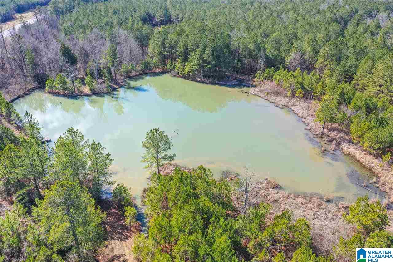 0 Barron Street Steele, AL 35987 - Photo 9 of 14