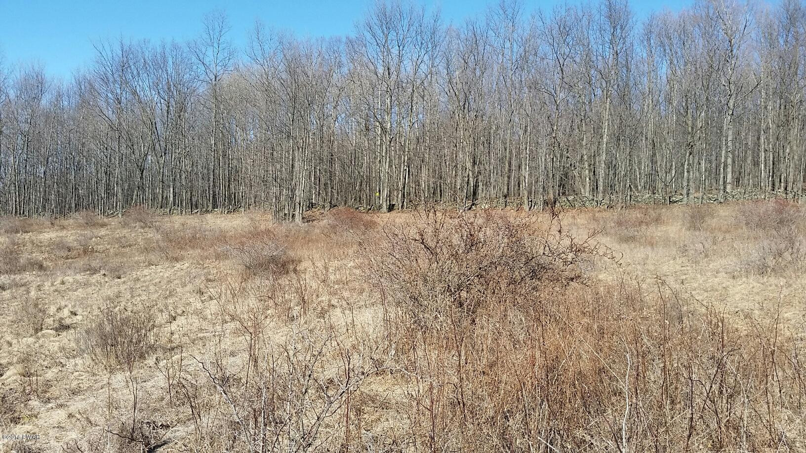 1297 Red Abbott Road Union Dale, PA 18470 - Photo 4 of 11