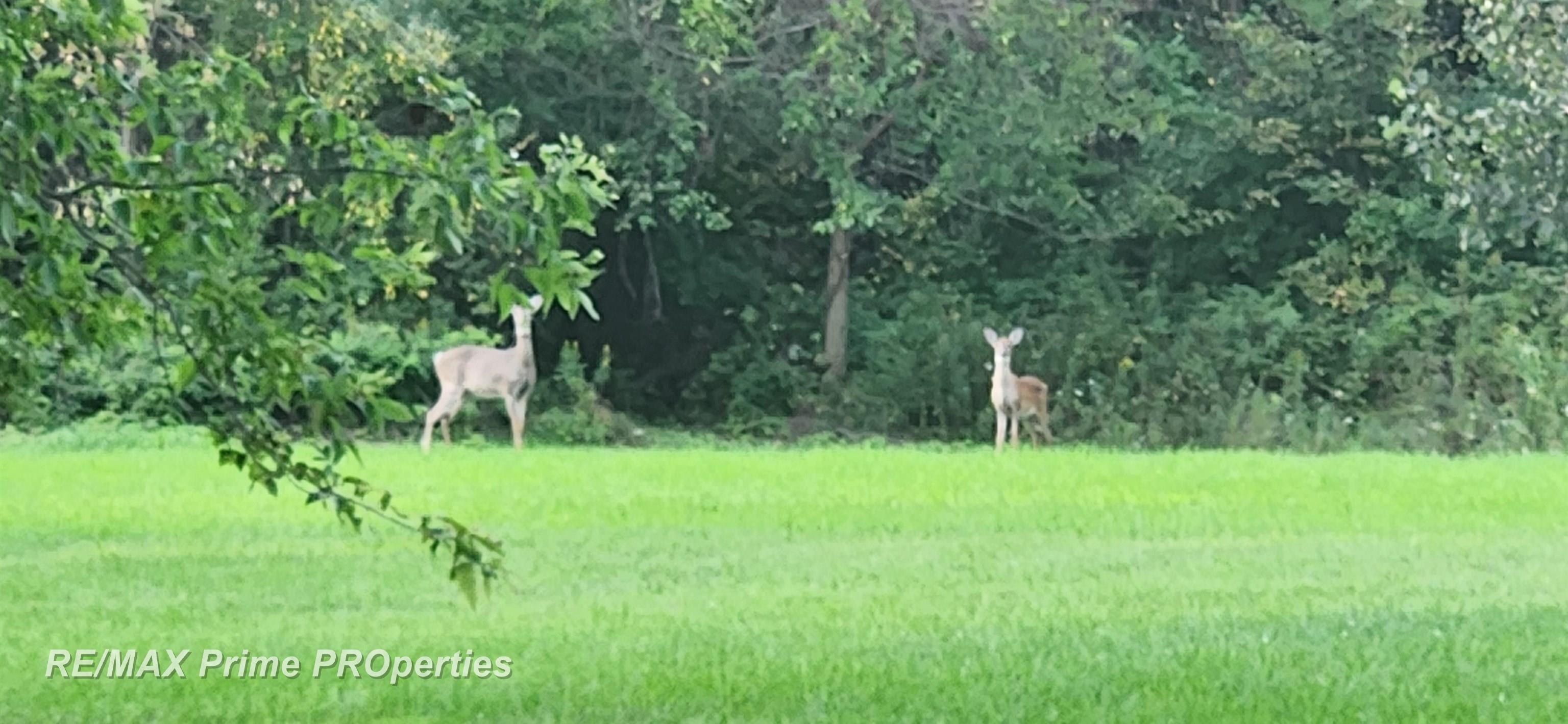 8515 Downing Road Birch Run, MI 48415 - Photo 16 of 16 50130480-5ff34dc1-3ec2-4996-b0a0-d26dc4faba3e.JPG