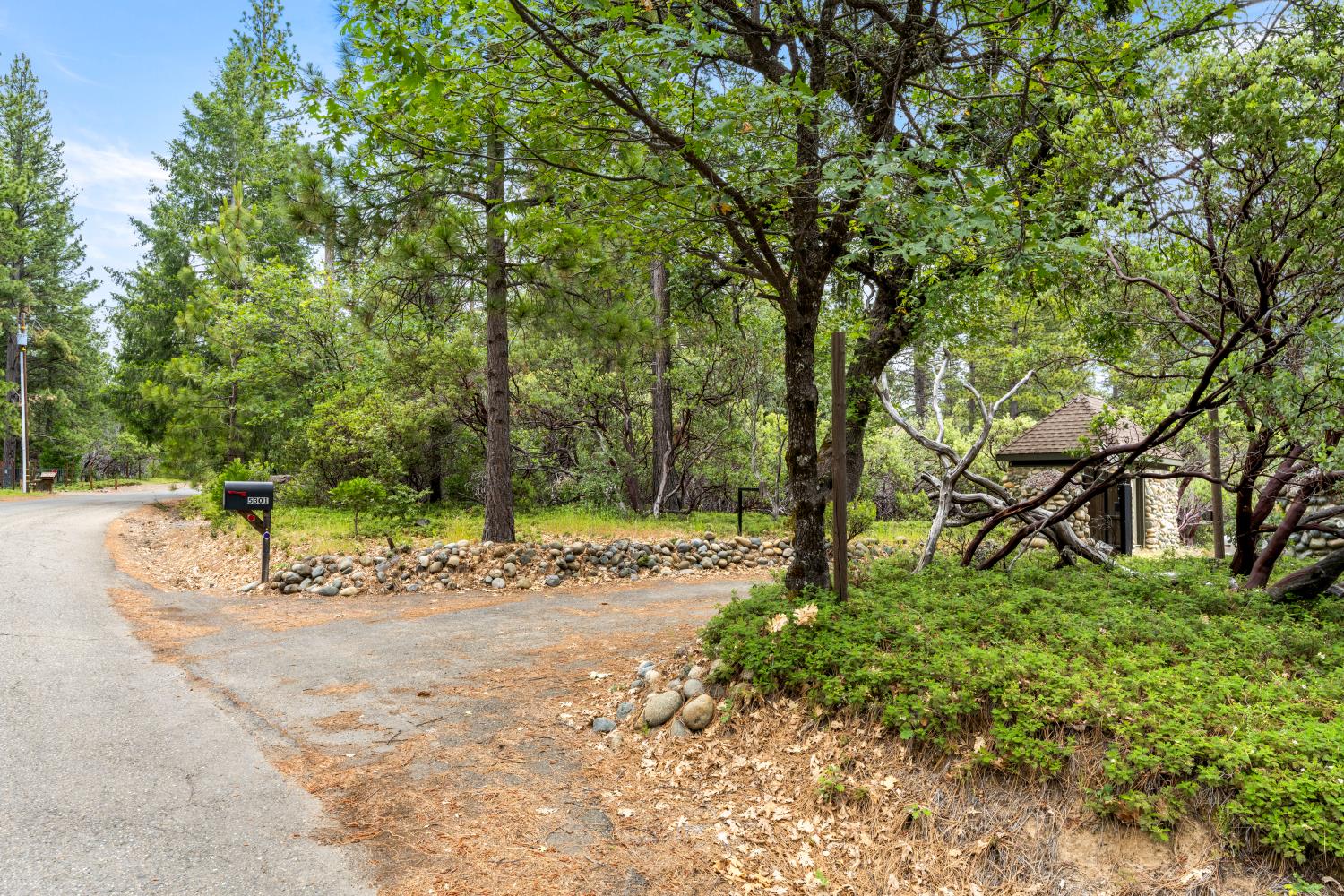 5301 Cosumnes Mine Road Somerset, CA 95684 - Photo 21 of 43