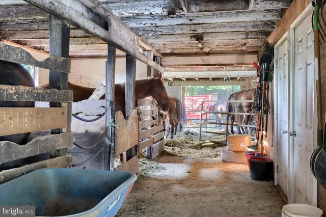a view of a park with bench and wooden bench