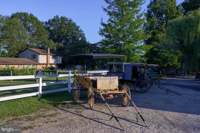 a view of a street with trees and houses