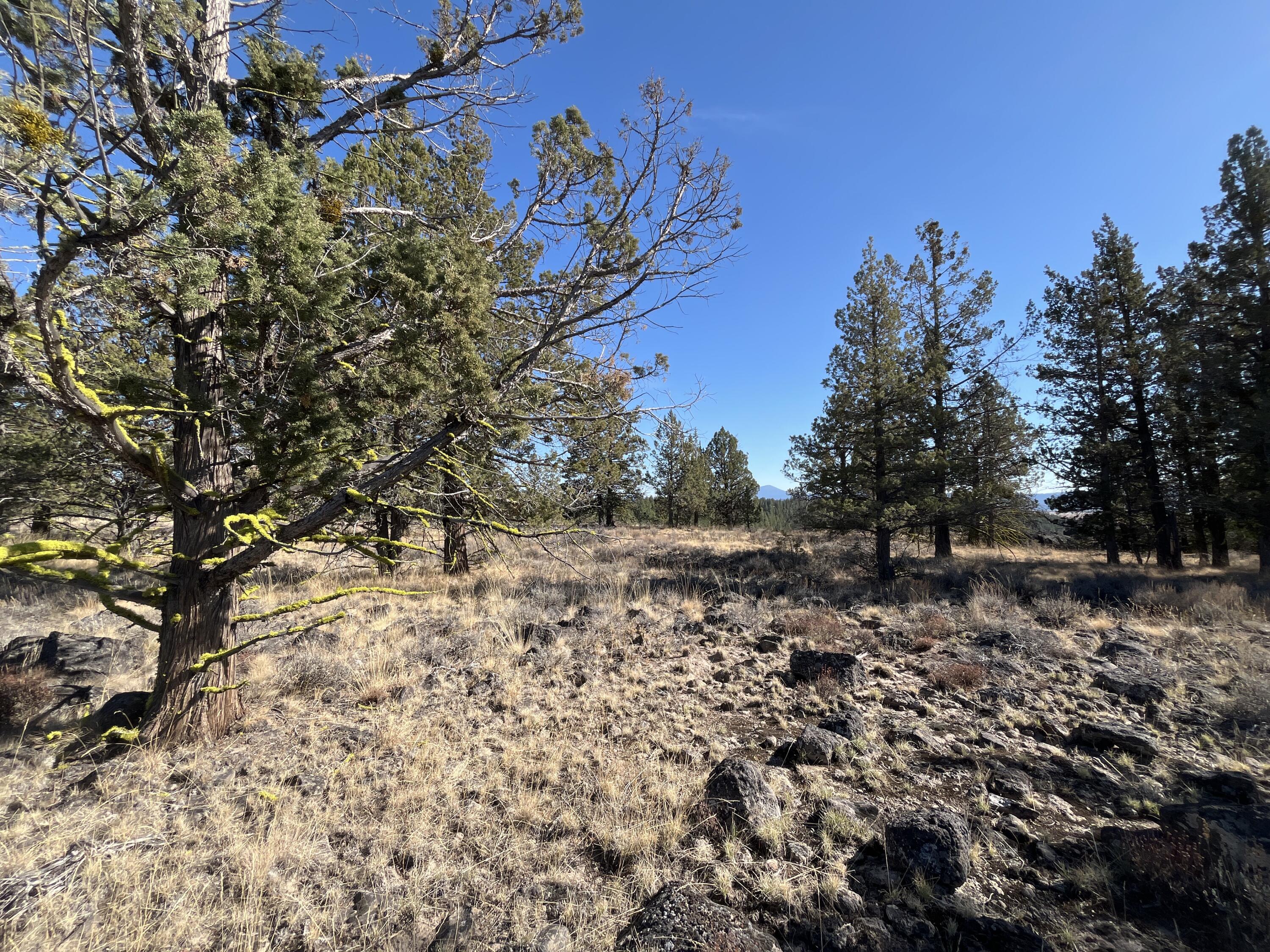 Tableland Road, Unit 3300 Chiloquin, OR 97624 - Photo 10 of 11 a view of a tree with a yard