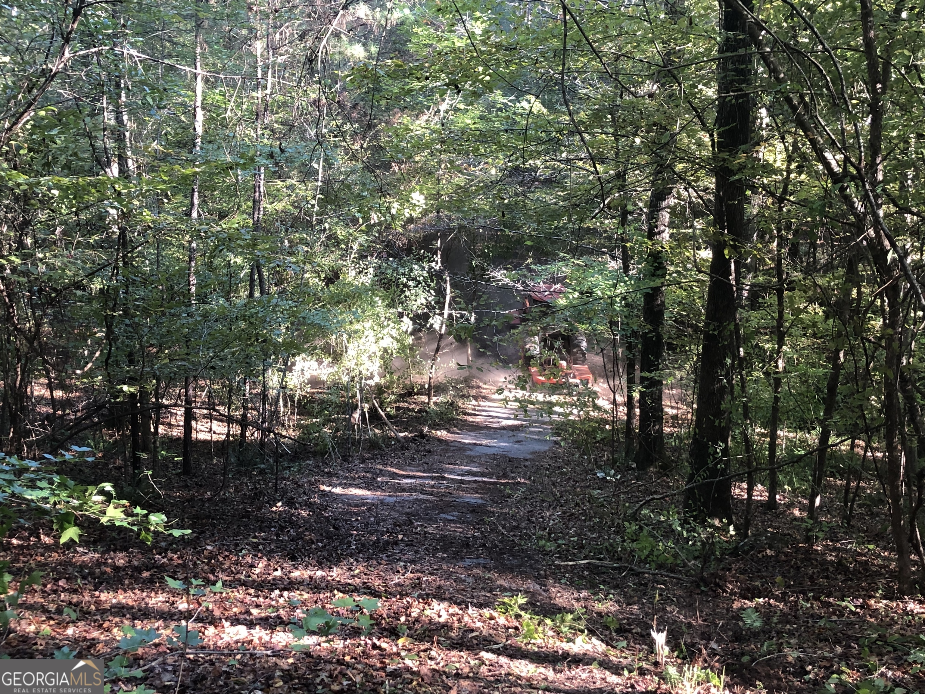Lot 10 Triune Mill Road Thomaston, GA 30286 - Photo 18 of 30