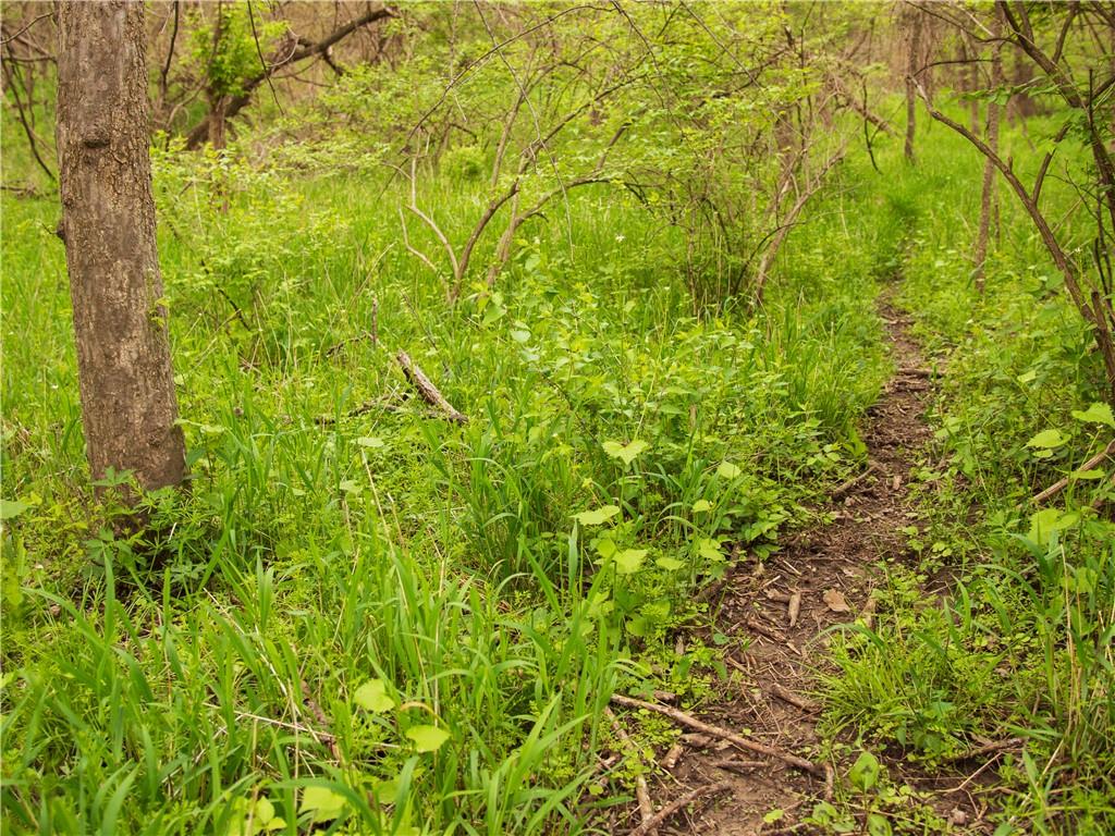 0 Ottumwa Road Wathena, KS 66090 - Photo 33 of 69