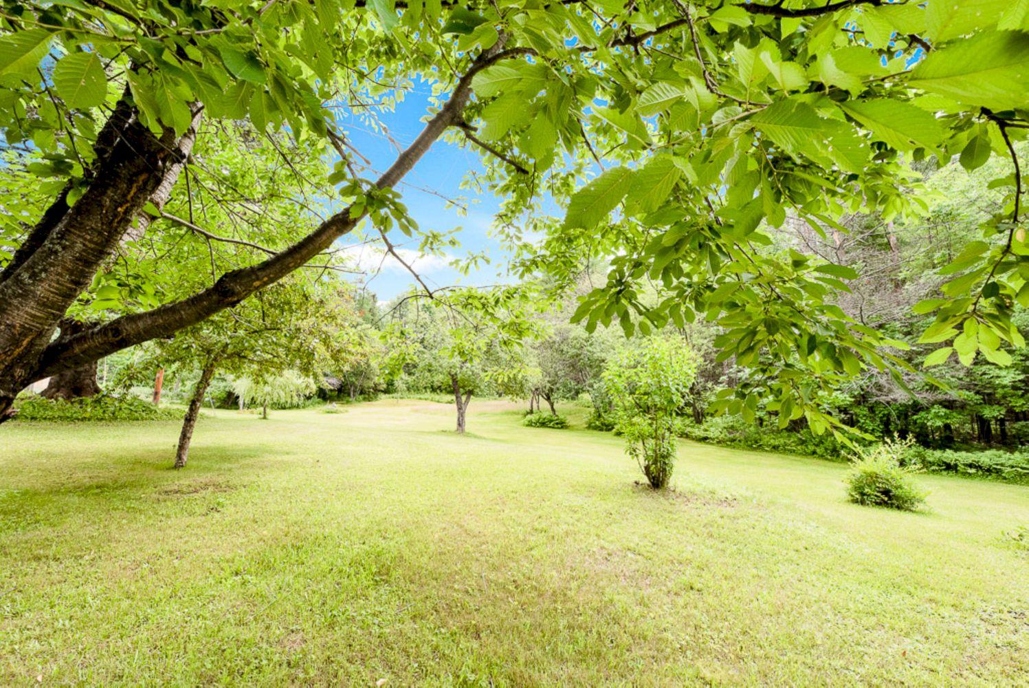 367 Bert Berry Road Concord Township, ME 04920 - Photo 27 of 93 Magical Moments Photography-26